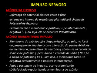 IMPULSO NERVOSO
AXÔNIO EM REPOUSO
- Diferença de potencial elétrico entre a face
externa e a interna da membrana plasmática é chamada
Potencial de Repouso.
- Externamente a membrana é positiva ( + ) e internamente ,
negativa ( - ), ou seja, ele se encontra POLARIZADA.
AXÔNIO TRANSMITINDO IMPULSO
- Membrana do axônio sofre despolarização, ou seja, no local
da passagem do impulso ocorre alteração da permeabilidade
da membrana plasmática do neurônio ( abrem-se os canais de
sódio e de potássio ) permitindo a entrada de sódio ( Na+ ) e
a saída de potássio ( K+ ). Com isso, a membrana torna-se
negativa externamente e positiva internamente.
- Após a passagem do impulso, ocorre a bomba de
sódio/potásio repolarizando a membrana do axônio.
 