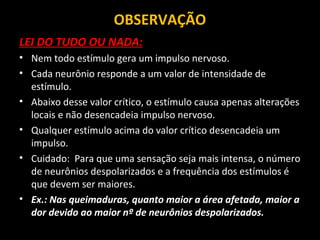 OBSERVAÇÃO
LEI DO TUDO OU NADA:
• Nem todo estímulo gera um impulso nervoso.
• Cada neurônio responde a um valor de intensidade de
estímulo.
• Abaixo desse valor crítico, o estímulo causa apenas alterações
locais e não desencadeia impulso nervoso.
• Qualquer estímulo acima do valor crítico desencadeia um
impulso.
• Cuidado: Para que uma sensação seja mais intensa, o número
de neurônios despolarizados e a frequência dos estímulos é
que devem ser maiores.
• Ex.: Nas queimaduras, quanto maior a área afetada, maior a
dor devido ao maior nº de neurônios despolarizados.
 