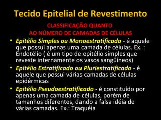 Tecido Epitelial de Revestimento
CLASSIFICAÇÃO QUANTO
AO NÚMERO DE CAMADAS DE CÉLULAS
• Epitélio Simples ou Monoestratificado - é aquele
que possui apenas uma camada de células. Ex. :
Endotélio ( é um tipo de epitélio simples que
reveste internamente os vasos sangüíneos)
• Epitélio Estratificado ou Pluriestratificado - é
aquele que possui várias camadas de células
epidérmicas
• Epitélio Pseudoestratificado - é constituído por
apenas uma camada de células, porém de
tamanhos diferentes, dando a falsa idéia de
várias camadas. Ex.: Traquéia
 