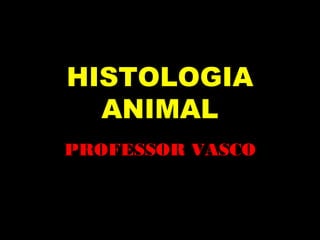 HISTOLOGIA
ANIMAL
PROFESSOR VASCO

 