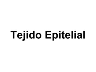 Tejido Epitelial 
 