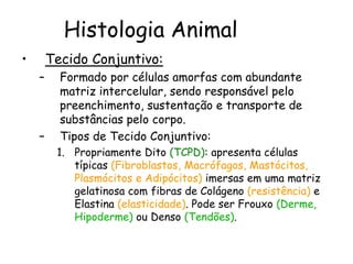 Histologia Animal
• Tecido Conjuntivo:
– Formado por células amorfas com abundante
matriz intercelular, sendo responsável pelo
preenchimento, sustentação e transporte de
substâncias pelo corpo.
– Tipos de Tecido Conjuntivo:
1. Propriamente Dito (TCPD): apresenta células
típicas (Fibroblastos, Macrófagos, Mastócitos,
Plasmócitos e Adipócitos) imersas em uma matriz
gelatinosa com fibras de Colágeno (resistência) e
Elastina (elasticidade). Pode ser Frouxo (Derme,
Hipoderme) ou Denso (Tendões).
 