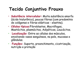 Tecido Conjuntivo Frouxo
• Substância intercelular: Muita substância amorfa
(ácido hialurônico), poucas fibras (com predomínio
de colágenas e fibras elásticas - elastina).
• Células típicas:Fibroblastos, Macrófagos,
Mastócitos, plasmócitos, Adipóticos, Leucócitos.
• Localização: Entre as células dos músculos,
envolvendo vasos sanguíneos, na pele, mucosas e
glândulas.
• Funções: Suporte, preenchimento, cicatrização,
nutrição e proteção
 