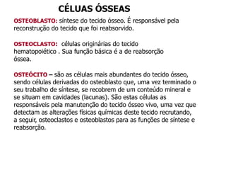 OSTEOBLASTO: síntese do tecido ósseo. É responsável pela
reconstrução do tecido que foi reabsorvido.
OSTEOCLASTO: células originárias do tecido
hematopoiético . Sua função básica é a de reabsorção
óssea.
OSTEÓCITO – são as células mais abundantes do tecido ósseo,
sendo células derivadas do osteoblasto que, uma vez terminado o
seu trabalho de síntese, se recobrem de um conteúdo mineral e
se situam em cavidades (lacunas). São estas células as
responsáveis pela manutenção do tecido ósseo vivo, uma vez que
detectam as alterações físicas químicas deste tecido recrutando,
a seguir, osteoclastos e osteoblastos para as funções de síntese e
reabsorção.
CÉLUAS ÓSSEAS
 