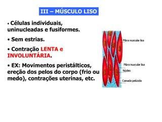 III – MÚSCULO LISO
• Células individuais,
uninucleadas e fusiformes.
• Sem estrias.
• Contração LENTA e
INVOLUNTÁRIA.
• EX: Movimentos peristálticos,
ereção dos pelos do corpo (frio ou
medo), contrações uterinas, etc.
 