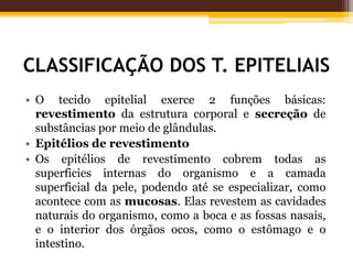 CLASSIFICAÇÃO DOS T. EPITELIAIS
• O tecido epitelial exerce 2 funções básicas:
revestimento da estrutura corporal e secreção de
substâncias por meio de glândulas.
• Epitélios de revestimento
• Os epitélios de revestimento cobrem todas as
superficies internas do organismo e a camada
superficial da pele, podendo até se especializar, como
acontece com as mucosas. Elas revestem as cavidades
naturais do organismo, como a boca e as fossas nasais,
e o interior dos órgãos ocos, como o estômago e o
intestino.
 
