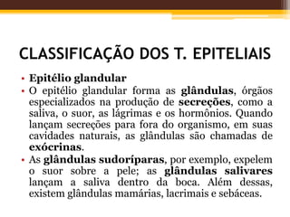 CLASSIFICAÇÃO DOS T. EPITELIAIS
• Epitélio glandular
• O epitélio glandular forma as glândulas, órgãos
especializados na produção de secreções, como a
saliva, o suor, as lágrimas e os hormônios. Quando
lançam secreções para fora do organismo, em suas
cavidades naturais, as glândulas são chamadas de
exócrinas.
• As glândulas sudoríparas, por exemplo, expelem
o suor sobre a pele; as glândulas salivares
lançam a saliva dentro da boca. Além dessas,
existem glândulas mamárias, lacrimais e sebáceas.
 