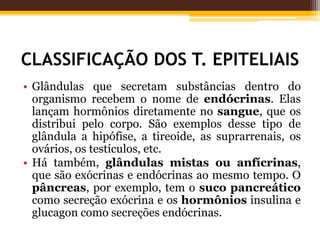 CLASSIFICAÇÃO DOS T. EPITELIAIS
• Glândulas que secretam substâncias dentro do
organismo recebem o nome de endócrinas. Elas
lançam hormônios diretamente no sangue, que os
distribui pelo corpo. São exemplos desse tipo de
glândula a hipófise, a tireoide, as suprarrenais, os
ovários, os testículos, etc.
• Há também, glândulas mistas ou anfícrinas,
que são exócrinas e endócrinas ao mesmo tempo. O
pâncreas, por exemplo, tem o suco pancreático
como secreção exócrina e os hormônios insulina e
glucagon como secreções endócrinas.
 