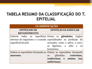 TABELA RESUMO DA CLASSIFICAÇÃO DO T.
EPITELIAL
CLASSIFICAÇÃO
EPITÉLIOS DE
REVESTIMENTO
EPITÉLIO GLANDULAR
Cobrem todas as superficies
internas do organismo e a camada
superficial da pele.
Forma as glândulas, órgãos
especializados na produção de
secreções, como a saliva, o suor,
as lágrimas, o sebo e os
hormônios.
Podem se especializar formando as
mucosas.
Podem se especializar formando
as glândulas exócrinas,
endócrinas e mistas (ou
anfícrinas).
 