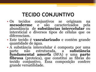TECIDO CONJUNTIVO
• Os tecidos conjuntivos se originam na
mesoderme e são caracterizados pela
abundância de substâncias intercelular ou
intersticial e diversos tipos de células que os
diferenciam.
• Este tecido é vascularizado e contém grande
quantidade de água.
• A substância intercelular é composta por uma
parte não estruturada, a substância
fundamental amorfa (SFA) e uma parte
fibrosa (proteica), que constitui as fibras do
tecido conjuntivo. Essa composição confere
grande versatilidade.
 