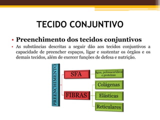 TECIDO CONJUNTIVO
• Preenchimento dos tecidos conjuntivos
• As substâncias descritas a seguir dão aos tecidos conjuntivos a
capacidade de preencher espaços, ligar e sustentar os órgãos e os
demais tecidos, além de exercer funções de defesa e nutrição.
 