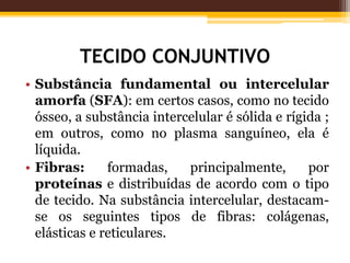 TECIDO CONJUNTIVO
• Substância fundamental ou intercelular
amorfa (SFA): em certos casos, como no tecido
ósseo, a substância intercelular é sólida e rígida ;
em outros, como no plasma sanguíneo, ela é
líquida.
• Fibras: formadas, principalmente, por
proteínas e distribuídas de acordo com o tipo
de tecido. Na substância intercelular, destacam-
se os seguintes tipos de fibras: colágenas,
elásticas e reticulares.
 