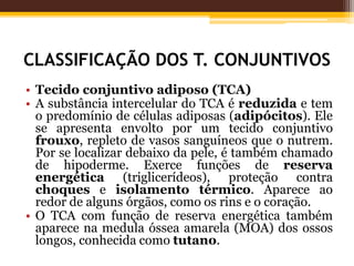 CLASSIFICAÇÃO DOS T. CONJUNTIVOS
• Tecido conjuntivo adiposo (TCA)
• A substância intercelular do TCA é reduzida e tem
o predomínio de células adiposas (adipócitos). Ele
se apresenta envolto por um tecido conjuntivo
frouxo, repleto de vasos sanguíneos que o nutrem.
Por se localizar debaixo da pele, é também chamado
de hipoderme. Exerce funções de reserva
energética (triglicerídeos), proteção contra
choques e isolamento térmico. Aparece ao
redor de alguns órgãos, como os rins e o coração.
• O TCA com função de reserva energética também
aparece na medula óssea amarela (MOA) dos ossos
longos, conhecida como tutano.
 