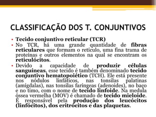 CLASSIFICAÇÃO DOS T. CONJUNTIVOS
• Tecido conjuntivo reticular (TCR)
• No TCR, há uma grande quantidade de fibras
reticulares que formam o retículo, uma fina trama de
proteínas e outros elementos na qual se encontram os
reticulócitos.
• Devido a capacidade de produzir células
sanguíneas, esse tecido é também denominado tecido
conjuntivo hematopoiético (TCH). Ele está presente
nos nódulos linfáticos, nas tonsilas palatinas
(amígdalas), nas tonsilas faríngeas (adenoides), no baço
e no timo, com o nome de tecido linfoide. Na medula
óssea vermelha (MOV) é chamado de tecido mieloide.
É responsável pela produção dos leucócitos
(linfócitos), dos eritrócitos e das plaquetas.
 