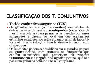 CLASSIFICAÇÃO DOS T. CONJUNTIVOS
• Tecido conjuntivo sanguíneo (TCS)
• Os glóbulos brancos (ou leucócitos) são células de
defesa capazes de emitir pseudópodes (expansões da
membrana celular) para passar pelas paredes dos vasos
sanguíneos e chegar ao local em que organismos
estranhos e patogénicos estão atuando, a fim de fagocitá-
los e eliminar a infecção. Esse fenômeno é denominado
diapedese.
• Os leucócitos podem ser divididos em 2 grandes grupos:
os granulócitos, com grânulos no citoplasma que
contém substâncias que participam na resposta
inflamatória e alérgica e os agranulócitos, que não
possuem grânulos definidos no seu citoplasma.
 