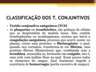 CLASSIFICAÇÃO DOS T. CONJUNTIVOS
• Tecido conjuntivo sanguíneo (TCS)
• As plaquetas ou trombócitos, são pedaços de células
que se desprendem da medula óssea. Elas contêm
tromboplastina ou tromboquinase, enzima que inicia a
coagulação sanguínea, processo que ocorre assim: no
plasma, existe uma proteína- o fibrinogênio- o qual,
quando nos cortamos, transforma-se em fibrina, uma
proteína fibrosa (filamentosa) que, combinada com a
trombina, emaranha-se, formando um coágulo, isto é,
uma rede com malhas finas na qual ficam presos todos
os elementos do sangue. Esse fenômeno impede a
ocorrência de hemorragia (perda excessiva de sangue).
 