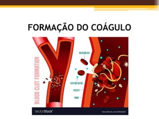 FORMAÇÃO DO COÁGULO
 