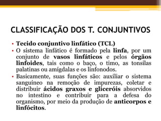 CLASSIFICAÇÃO DOS T. CONJUNTIVOS
• Tecido conjuntivo linfático (TCL)
• O sistema linfático é formado pela linfa, por um
conjunto de vasos linfáticos e pelos órgãos
linfoides, tais como o baço, o timo, as tonsilas
palatinas ou amígdalas e os linfonodos.
• Basicamente, suas funções são: auxiliar o sistema
sanguíneo na remoção de impurezas, coletar e
distribuir ácidos graxos e gliceróis absorvidos
no intestino e contribuir para a defesa do
organismo, por meio da produção de anticorpos e
linfócitos.
 