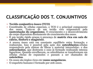CLASSIFICAÇÃO DOS T. CONJUNTIVOS
• Tecido conjuntivo ósseo (TCO)
• Constituído de células especiais, o TCO é o principal componente
dos ossos. Trata-se de um tecido vivo responsável pela
sustentação do organismo. O crescimento e o desenvolvimento
do corpo dependem diretamente do crescimento dos ossos.
• É um tecido rígido graças à presença de matriz rica em sais de
cálcio, fósforo e magnésio.
• A massa óssea está em constante equilibrio entre formação e
reabsorção. Isso é possível pela ação dos osteoblastos-células
responsáveis pela síntese de fibras e material intercelular- e dos
osteoclastos, que destroem o osso já formado realizando intensa
fagocitose. Quando envelhecem, os osteoblastos se transformam em
células cheias de expansões e passam a ser chamados de
osteócitos.
• Os ossos são órgãos ricos em vasos sanguíneos.
• O esqueleto humano é formado por 206 ossos.
 