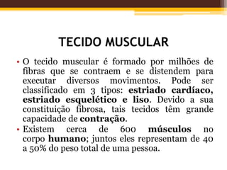 TECIDO MUSCULAR
• O tecido muscular é formado por milhões de
fibras que se contraem e se distendem para
executar diversos movimentos. Pode ser
classificado em 3 tipos: estriado cardíaco,
estriado esquelético e liso. Devido a sua
constituição fibrosa, tais tecidos têm grande
capacidade de contração.
• Existem cerca de 600 músculos no
corpo humano; juntos eles representam de 40
a 50% do peso total de uma pessoa.
 