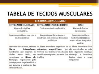 TABELA DE TECIDOS MUSCULARES
TECIDOS MUSCULARES
ESTRIADO CARDÍACO ESTRIADO ESQUELÉTICO LISO
Contração rápida e
involuntária.
Contração rápida e voluntária Contração lenta e
involuntária.
Composto por fibras com 1 ou 2
núcleos centrais.
Composto por fibras longas e
cilíndricas, com centenas de núcleos
periféricos.
Composto por fibras
fusiformes (miócitos)
com 1 núcleo alongado e
central.
Entre um fibra e outra, existem
discos intercalares,
membranas que separam as
células. Nesse tecido, são
encontradas as fibras de
Purkinje, responsáveis pela
propagação do impulso elétrico
que provoca a contração das
fibras cardíacas.
As fibras musculares organizam os
músculos esqueléticos, que
recebem esse nome por se acharem
inseridos no esqueleto por meio dos
tendões.
As fibras musculares lisas
são encontradas no pelo,
tubo digestório (esôfago,
estômago e intestino),
bexiga, útero e vasos
sanguíneos.
 
