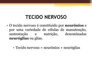 TECIDO NERVOSO
• O tecido nervoso é constituido por neurônios e
por uma variedade de células de manutenção,
sustentação e nutrição, denominadas
neuróglias ou glias.
• Tecido nervoso = neurônios + neuróglias
 