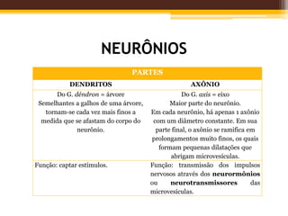 NEURÔNIOS
PARTES
DENDRITOS AXÔNIO
Do G. déndron = árvore
Semelhantes a galhos de uma árvore,
tornam-se cada vez mais finos a
medida que se afastam do corpo do
neurônio.
Do G. axis = eixo
Maior parte do neurônio.
Em cada neurônio, há apenas 1 axônio
com um diâmetro constante. Em sua
parte final, o axônio se ramifica em
prolongamentos muito finos, os quais
formam pequenas dilatações que
abrigam microvesículas.
Função: captar estímulos. Função: transmissão dos impulsos
nervosos através dos neurormônios
ou neurotransmissores das
microvesículas.
 