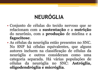 NEURÓGLIA
• Conjunto de células do tecido nervoso que se
relacionam com a sustentação e a nutrição
do neurônio, com a produção de mielina e a
fagocitose.
• As células da neuróglia estão presentes no SNC.
No SNP há células equivalentes, que alguns
autores incluem na classificação de células da
neuróglia e outros consideram como uma
categoria separada. Há várias populações de
células da neuróglia no SNC: Astróglia,
oligodendróglia e micróglia.
 
