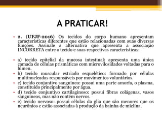 A PRATICAR!
• 2. (UFJF-2016) Os tecidos do corpo humano apresentam
características diferentes que estão relacionadas com suas diversas
funções. Assinale a alternativa que apresenta a associação
INCORRETA entre o tecido e suas respectivas características:
• a) tecido epitelial da mucosa intestinal: apresenta uma única
camada de células prismáticas com microvilosidades voltadas para o
lúmen.
• b) tecido muscular estriado esquelético: formado por células
multinucleadas responsáveis por movimentos voluntários.
• c) tecido conjuntivo sanguíneo: possui uma parte amorfa, o plasma,
constituído principalmente por água.
• d) tecido conjuntivo cartilaginoso: possui fibras colágenas, vasos
sanguíneos, mas não contém nervos.
• e) tecido nervoso: possui células da glia que são menores que os
neurônios e estão associadas à produção da bainha de mielina.
 