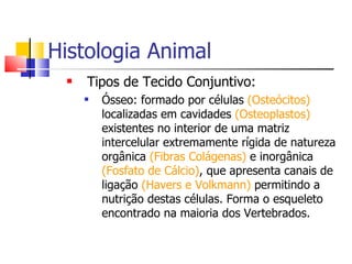 Histologia Animal Tipos de Tecido Conjuntivo: Ósseo: formado por células  (Osteócitos)  localizadas em cavidades  (Osteoplastos)  existentes no interior de uma matriz intercelular extremamente rígida de natureza orgânica  (Fibras Colágenas)  e inorgânica  (Fosfato de Cálcio) , que apresenta canais de ligação  (Havers e Volkmann)  permitindo a nutrição destas células. Forma o esqueleto encontrado na maioria dos Vertebrados. 
