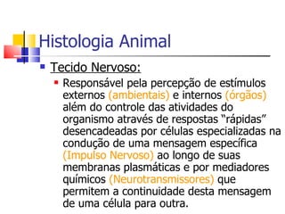 Histologia Animal Tecido Nervoso: Responsável pela percepção de estímulos externos  (ambientais)  e internos  (órgãos)  além do controle das atividades do organismo através de respostas “rápidas” desencadeadas por células especializadas na condução de uma mensagem específica  (Impulso Nervoso)  ao longo de suas membranas plasmáticas e por mediadores químicos  (Neurotransmissores)  que permitem a continuidade desta mensagem de uma célula para outra. 