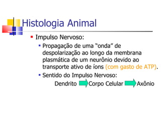 Histologia Animal Impulso Nervoso:  Propagação de uma “onda” de despolarização ao longo da membrana plasmática de um neurônio devido ao transporte ativo de íons  (com gasto de ATP) . Sentido do Impulso Nervoso: Dendrito   Corpo Celular   Axônio 