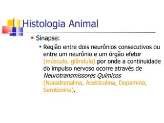 Histologia Animal Sinapse:  Região entre dois neurônios consecutivos ou entre um neurônio e um órgão efetor  (músculo, glândula)  por onde a continuidade do impulso nervoso ocorre através de  Neurotransmissores Químicos   (Noradrenalina, Acetilcolina, Dopamina, Serotonina) . 