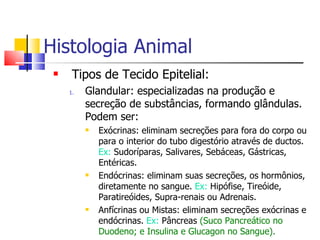 Histologia Animal Tipos de Tecido Epitelial: Glandular: especializadas na produção e secreção de substâncias, formando glândulas. Podem ser: Exócrinas: eliminam secreções para fora do corpo ou para o interior do tubo digestório através de ductos.  Ex:  Sudoríparas, Salivares, Sebáceas, Gástricas, Entéricas. Endócrinas: eliminam suas secreções, os hormônios, diretamente no sangue.  Ex:  Hipófise, Tireóide, Paratireóides, Supra-renais ou Adrenais. Anfícrinas ou Mistas: eliminam secreções exócrinas e endócrinas.  Ex:  Pâncreas  (Suco Pancreático no Duodeno; e Insulina e Glucagon no Sangue). 