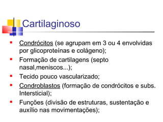 Cartilaginoso
 Condrócitos (se agrupam em 3 ou 4 envolvidas
por glicoproteínas e colágeno);
 Formação de cartilagens (septo
nasal,meniscos...);
 Tecido pouco vascularizado;
 Condroblastos (formação de condrócitos e subs.
Intersticial);
 Funções (divisão de estruturas, sustentação e
auxílio nas movimentações);
 