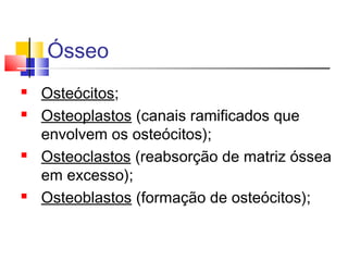 Ósseo
 Osteócitos;
 Osteoplastos (canais ramificados que
envolvem os osteócitos);
 Osteoclastos (reabsorção de matriz óssea
em excesso);
 Osteoblastos (formação de osteócitos);
 