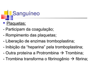 Sanguíneo
 Plaquetas:
- Participam da coagulação;
- Rompimento das plaquetas;
- Liberação de enzimas tromboplastina;
- Inibição da “heparina” pela tromboplastina;
- Outra proteína a Protrombina  Trombina;
- Trombina transforma o fibrinogênio  fibrina;
 