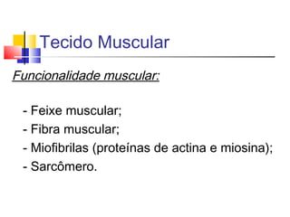 Tecido Muscular
Funcionalidade muscular:
- Feixe muscular;
- Fibra muscular;
- Miofibrilas (proteínas de actina e miosina);
- Sarcômero.
 