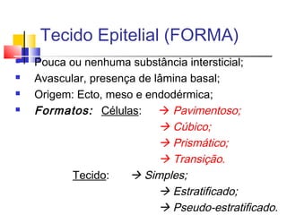 Tecido Epitelial (FORMA)
 Pouca ou nenhuma substância intersticial;
 Avascular, presença de lâmina basal;
 Origem: Ecto, meso e endodérmica;
 Formatos: Células:  Pavimentoso;
 Cúbico;
 Prismático;
 Transição.
Tecido:  Simples;
 Estratificado;
 Pseudo-estratificado.
 