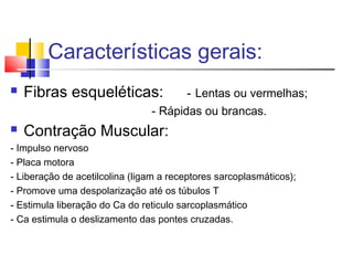 Características gerais:
 Fibras esqueléticas: - Lentas ou vermelhas;
- Rápidas ou brancas.
 Contração Muscular:
- Impulso nervoso
- Placa motora
- Liberação de acetilcolina (ligam a receptores sarcoplasmáticos);
- Promove uma despolarização até os túbulos T
- Estimula liberação do Ca do reticulo sarcoplasmático
- Ca estimula o deslizamento das pontes cruzadas.
 