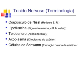  Corpúsculo de Nissl (Retículo E. R.);
 Lipofuscina (Pigmento marron, célula velha);
 Telodendro (Axônio termial);
 Axoplasma (Citoplasma do axônio);
 Células de Schwann (formação bainha de mielina);
Tecido Nervoso (Terminologia)
 