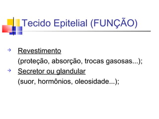 Tecido Epitelial (FUNÇÃO)
 Revestimento
(proteção, absorção, trocas gasosas...);
 Secretor ou glandular
(suor, hormônios, oleosidade...);
 