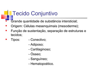 Tecido Conjuntivo
 Grande quantidade de substância intersticial;
 Origem: Células mesenquimais (mesoderme);
 Função de sustentação, separação de estruturas e
tecidos;
 Tipos: - Conectivo;
- Adiposo;
- Cartilaginoso;
- Ósseo;
- Sanguíneo;
- Hematopoético.
 