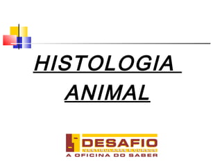 HISTOLOGIA
ANIMAL
 