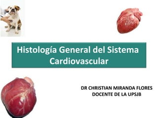 Histología General del Sistema
Cardiovascular
DR CHRISTIAN MIRANDA FLORES
DOCENTE DE LA UPSJB
 