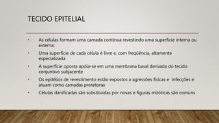 TECIDO EPITELIAL
• As células formam uma camada contínua revestindo uma superfície interna ou
externa;
• Uma superfície de cada célula é livre e, com freqüência, altamente
especializada
• A superfície oposta apóia-se em uma membrana basal derivada do tecido
conjuntivo subjacente
• Os epitélios de revestimento estão expostos a agressões físicas e infecções e
atuam como camadas protetoras
• Células danificadas são substituídas por novas e figuras mitóticas são comuns
 