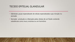TECIDO EPITELIAL GLANDULAR
• Glândulas: grupo especializado de células especializadas cuja a função é a
secreção
• Secreção: produção e a liberação pelas células de um fluido contendo
substâncias como muco, enzimas ou um hormônio
 