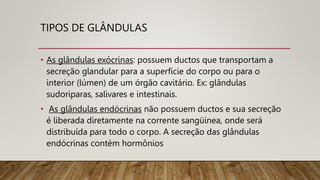 TIPOS DE GLÂNDULAS
• As glândulas exócrinas: possuem ductos que transportam a
secreção glandular para a superfície do corpo ou para o
interior (lúmen) de um órgão cavitário. Ex: glândulas
sudoriparas, salivares e intestinais.
• As glândulas endócrinas não possuem ductos e sua secreção
é liberada diretamente na corrente sangüínea, onde será
distribuída para todo o corpo. A secreção das glândulas
endócrinas contém hormônios
 
