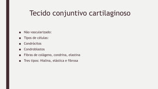 Tecido conjuntivo cartilaginoso
■ Não vascularizado:
■ Tipos de células:
■ Condrócitos
■ Condroblastos
■ Fibras de colágeno, condrina, elastina
■ Tres tipos: Hialina, elástica e fibrosa
 