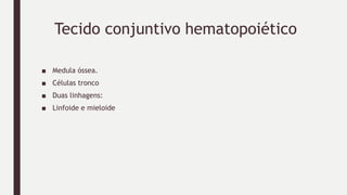 Tecido conjuntivo hematopoiético
■ Medula óssea.
■ Células tronco
■ Duas linhagens:
■ Linfoide e mieloide
 